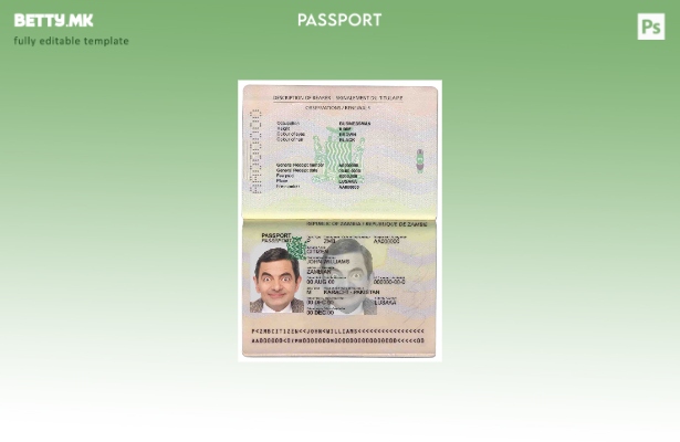 Шаблон за пасош на Замбија во модерен стил